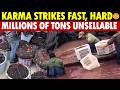 Karma Strikes Fast, Hard! Chemical Yangmei, No One Dares Eat, Millions of Tons Unsellable, Rotting