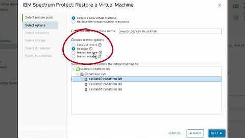 Compass Instant Restore for VMWare Virtual Machines