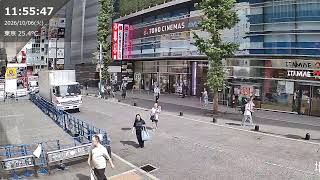 Kabukicho Live Camera