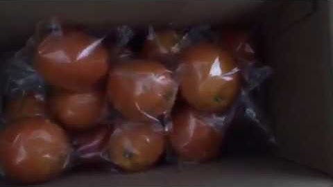 orange packing machine fruits flow packaging machinery