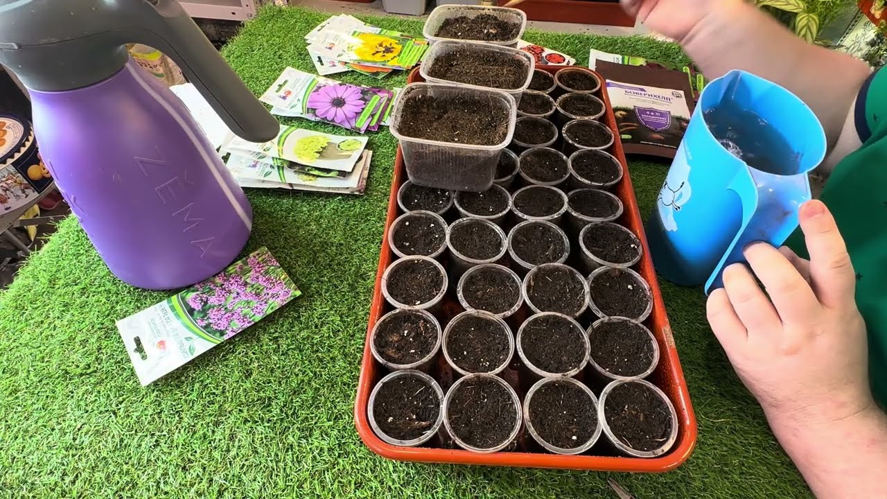 Дела рассадные.😍 Как мне всё это нравится! ❤