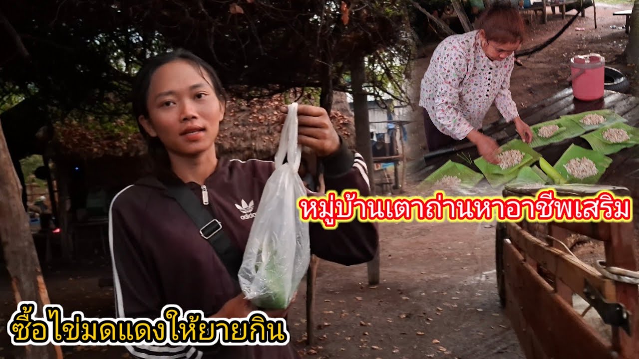 หมู่บ้านเตาถ่านหาอาชีพเสริม แหย่ไข่มดแดงขาย ฝนตกรินยามแลง 27 กุมภาพันธ์ ค.ศ. 2026