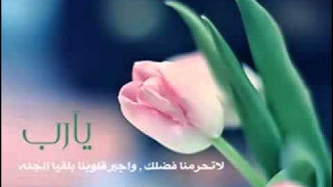 آيات تقشعر لها الأبدان لـ ياسر الدوسري ()* حقا مبكيةة