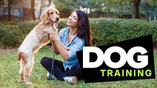 Dog Training 101 | Official Trailer | The Great Courses