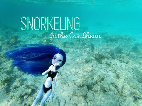 Snorkeling in the Caribbean- A Monster High/Ever After High Beach Vacation Stop Motion