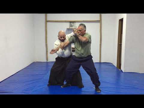 Tecnica de aikido