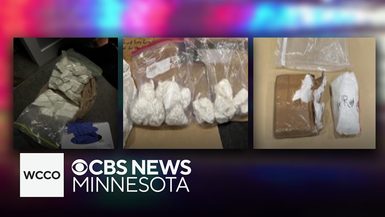 Minneapolis “Family Mob” gang charged with running 