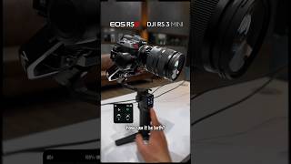 Can the DJI RS3 Mini hold a Canon R5 C