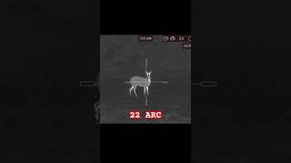 22 ARC Thermal Deer Cam (Legal/Permit) #hunting #agm #deer #eld-vt #hornady#pestcontrol