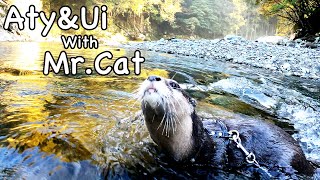 I'm just going halfway around Japan for a bit. [Otter life Day 609]