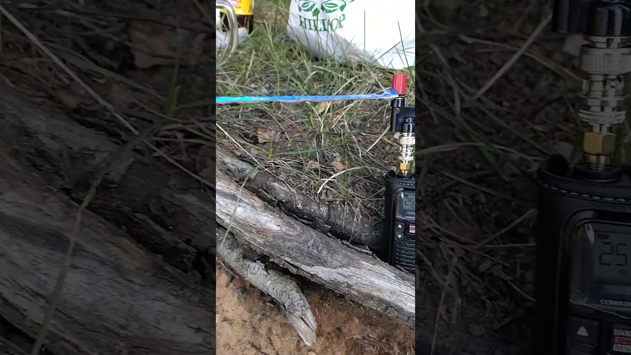 сатком и пивасик с рыбкой! ICOM IC-R6