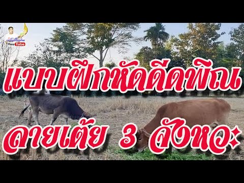 แบบฝึกหัด ลายเต้ย 3 จังหวะ หยิบพิณขึ้นมาดีดพร้อมๆกัน