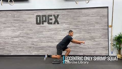 Eccentric Only Shrimp Squat