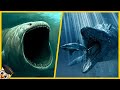 Les 10 plus grands monstres marins de tous les temps