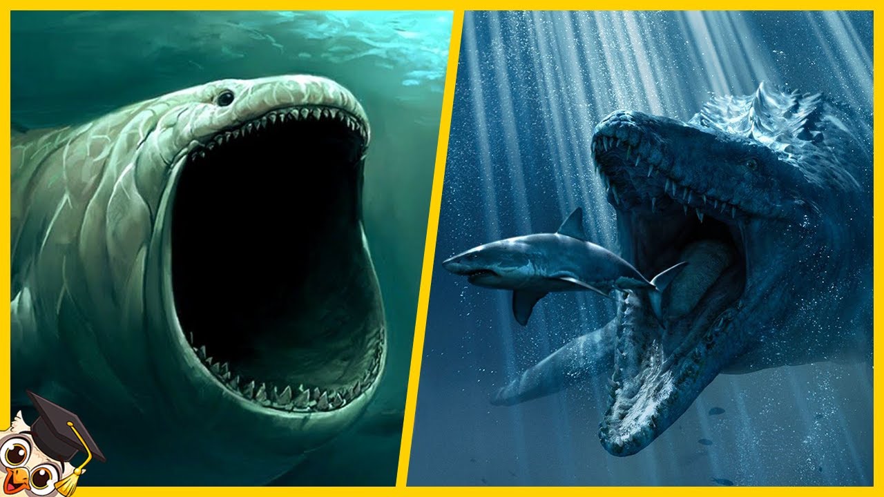 Les 10 Plus Grands Monstres Marins de tous les temps