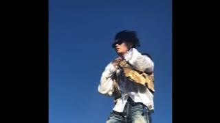 Wondha Mountain - Shot Shot (slowed   reverb)
