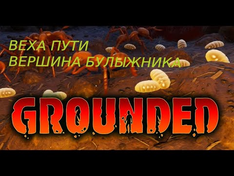 Личинки grounded