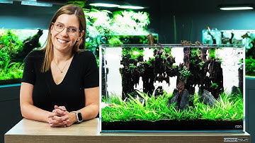 How I Built a FLOATING TREE Aquascape