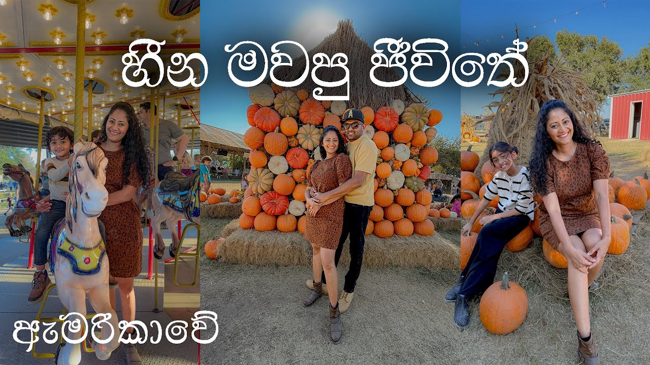 ඉස්සර හීන මවපු ජීවිතේ විඳින අපි 😇🙏 || Living Our Best Life In The USA 🇺🇸 