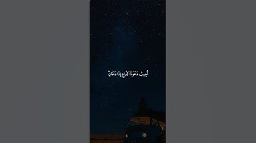 اكتب شيء تؤجر عليه 😴🩶 | قران كريم | فارس عباد