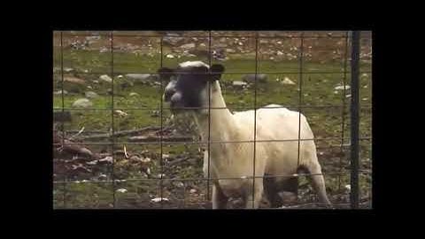 How the ps3 startup sound was created