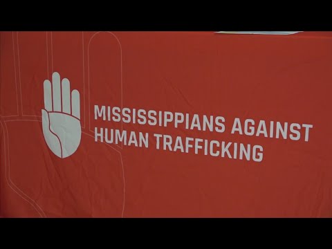 Whos Who Of Mississippi Arrests Desoto County Org Takedown