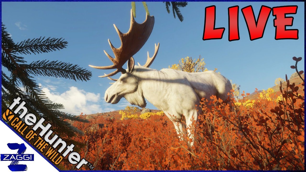 Hunting Yukon Valley for Trophy Animals! - YouTube