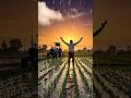 Subah ki mehnat, shaam ka sukoon 🌅❤️farming #viralvideo #motivation #shortvideo #farming