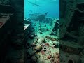 Underwater discovery of hidden city: Dwarka 🌊#underwater