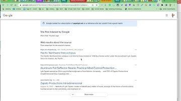 Google Search Result Tool
