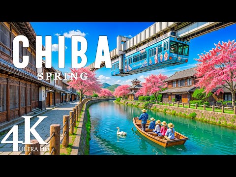 Spring Chiba 4K,