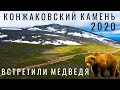 Конжаковский камень. Конжак. 2020. Встретили медведей! Уральские горы. Путешествие по России. Урал