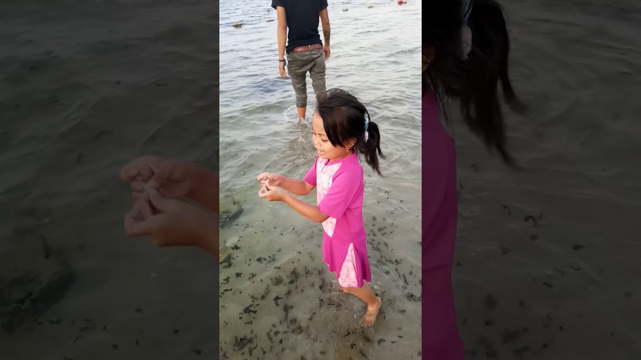 Berburu ubur - ubur dipantai ancol