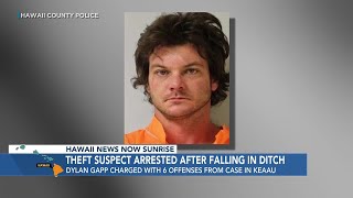 Theft suspect back behind bars after breaking into Hawaii Island business