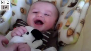 Funny baby videos | babies laught humorous video | funny babies clips | lustige videos by NHD-TV 50,632 views 8 years ago 4 minutes, 13 seconds