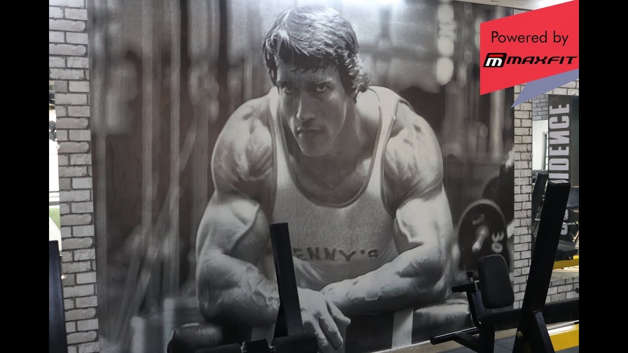 Pumping Iron Gym Setup by MaxFitnessIndia YouTube