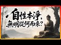 自性本淨，那「無明」從何而來？聽懂它，一生不再有內耗！#佛教故事 #佛法 #修行 #開悟 #楞嚴經 #自性 #無明 Mp3 Song
