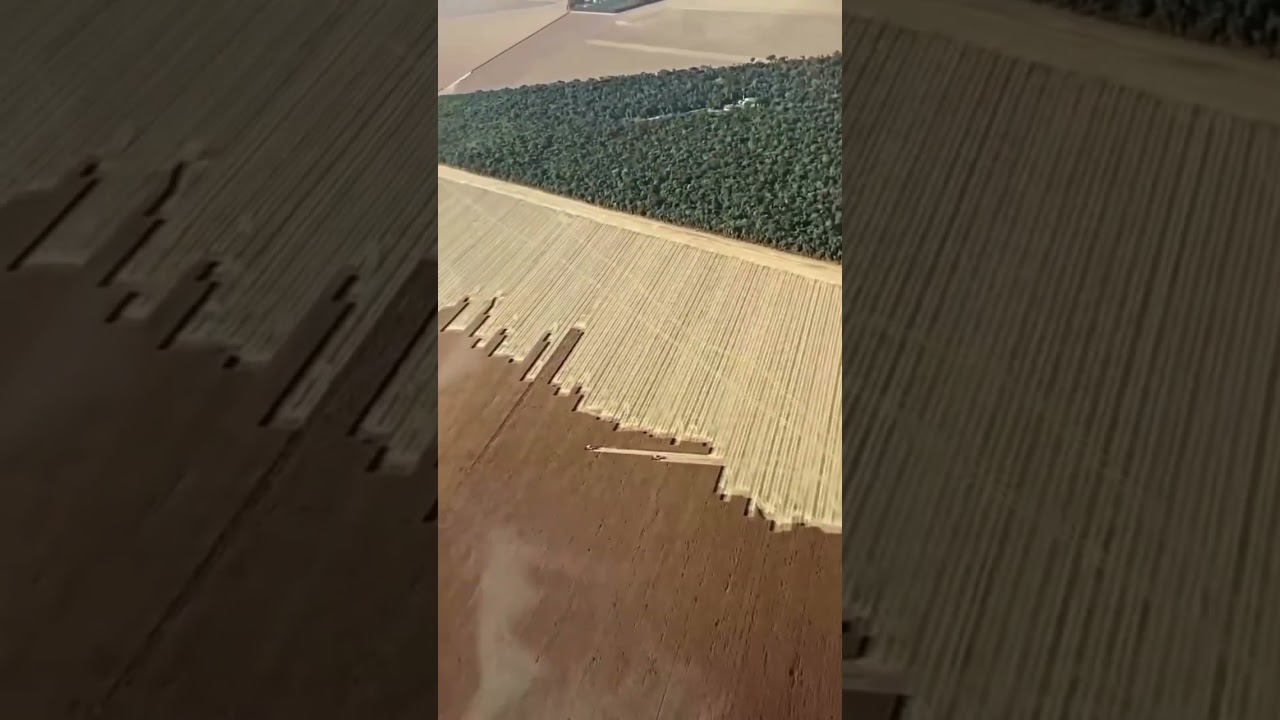 Tipo Yellowstone 🌱🌱🌱