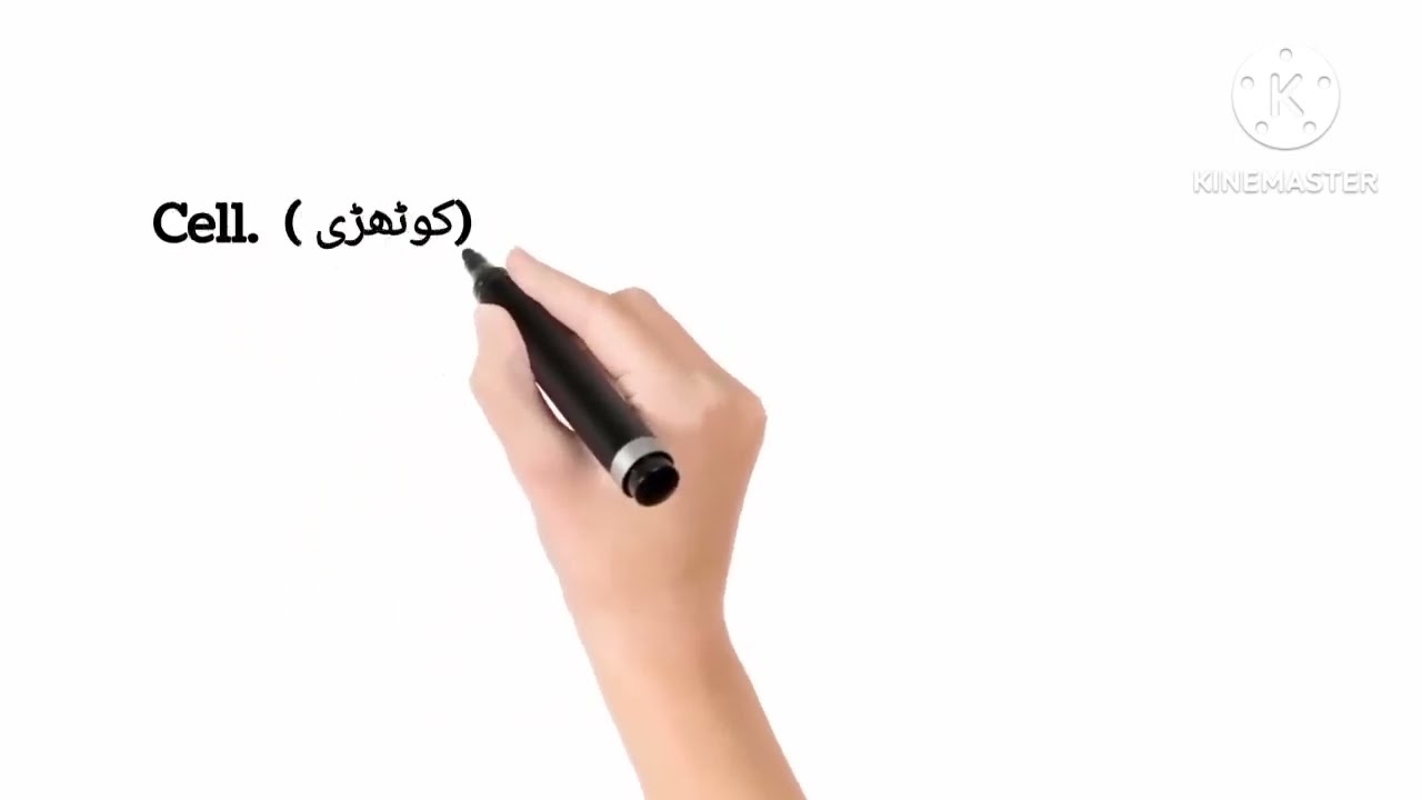 Pair of words   Confusing pair of words   F A & B A exams preparations   Learn English