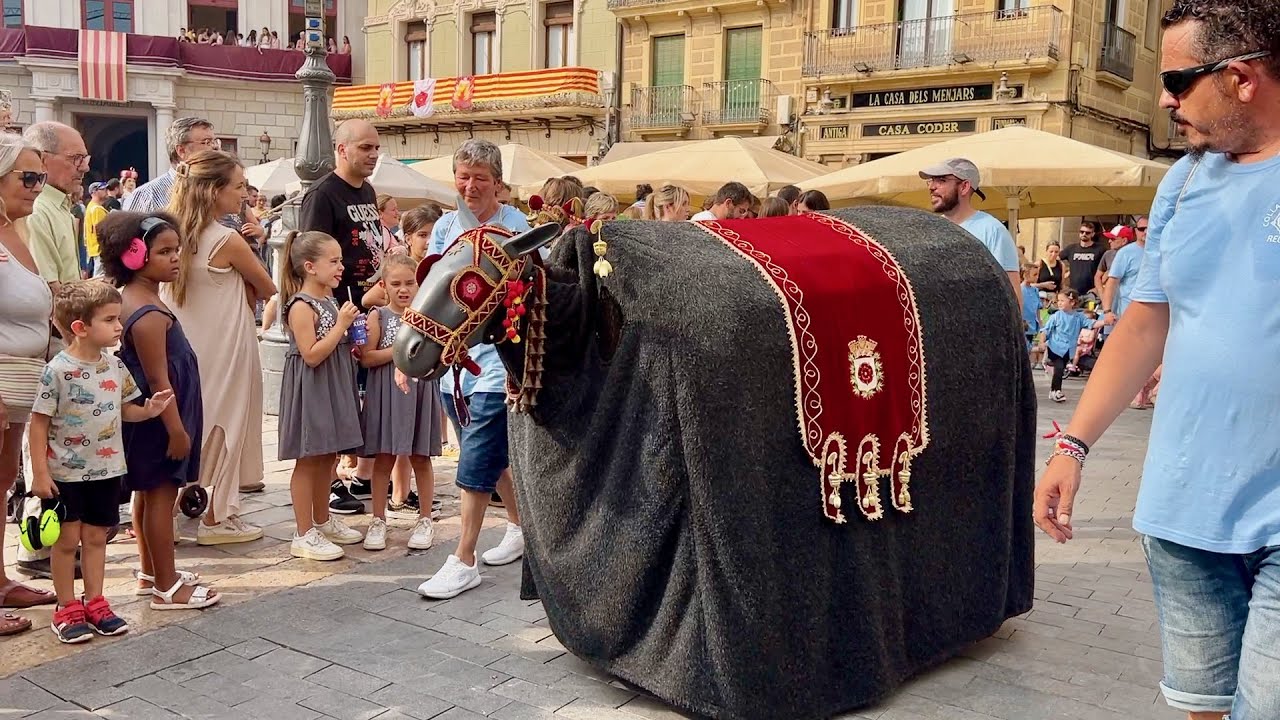 inici CERCAVILA Seguici Petit amb tots els elements (Festa Major Sant Pere Reus 2023) Episodi nº 1