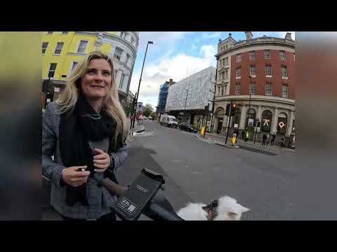 Man and his cat get knocked off bike - moments before policewoman "scolds" for not wearing helmet