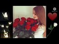 ويلي منك يا شيرين أجمل اغنيه كردية و عربي حالات واتس اب اغنيه كردية و عربي