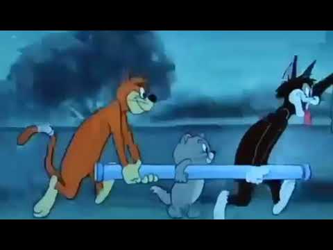 Tom and Jerry Funny Dub part(1)