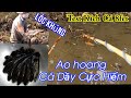 Kích cá ao hoang gặp thuỷ quái các lóc khủng và cá dầy cá mõm chó #13 | Cường Khểnh Vlog