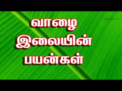 வாழை இலையின் பயன்கள் | Banana Leaf Tamil