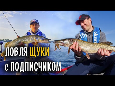 Ловля щуки на большие приманки в Черкассах. Рыбалка с подписчиком YouTube.