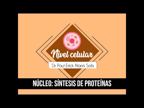 La célula -