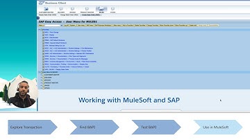 MuleSoft and SAP   Working with BAPI