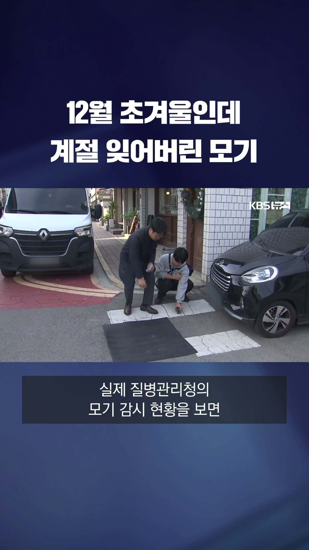 12월 초겨울인데 계절 잊어버린 모기 #shorts / KBS