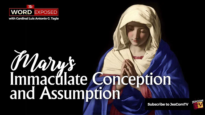 Mary's Immaculate Conception and Assumption - Faith Exposed  with Cardinal Tagle